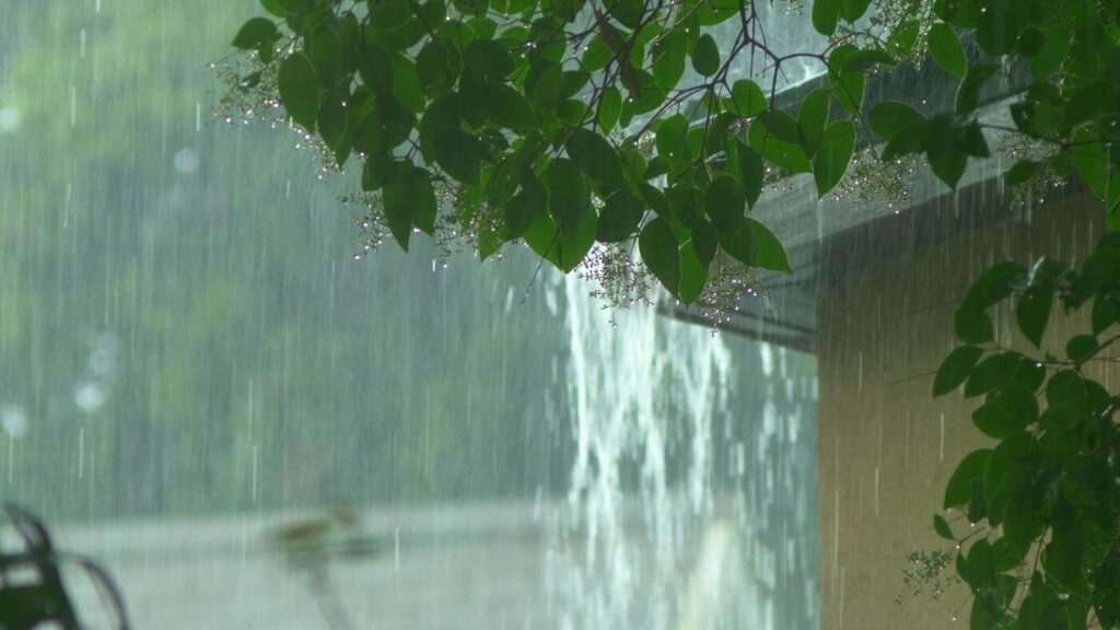 Closeup of rain pouring out of gutters