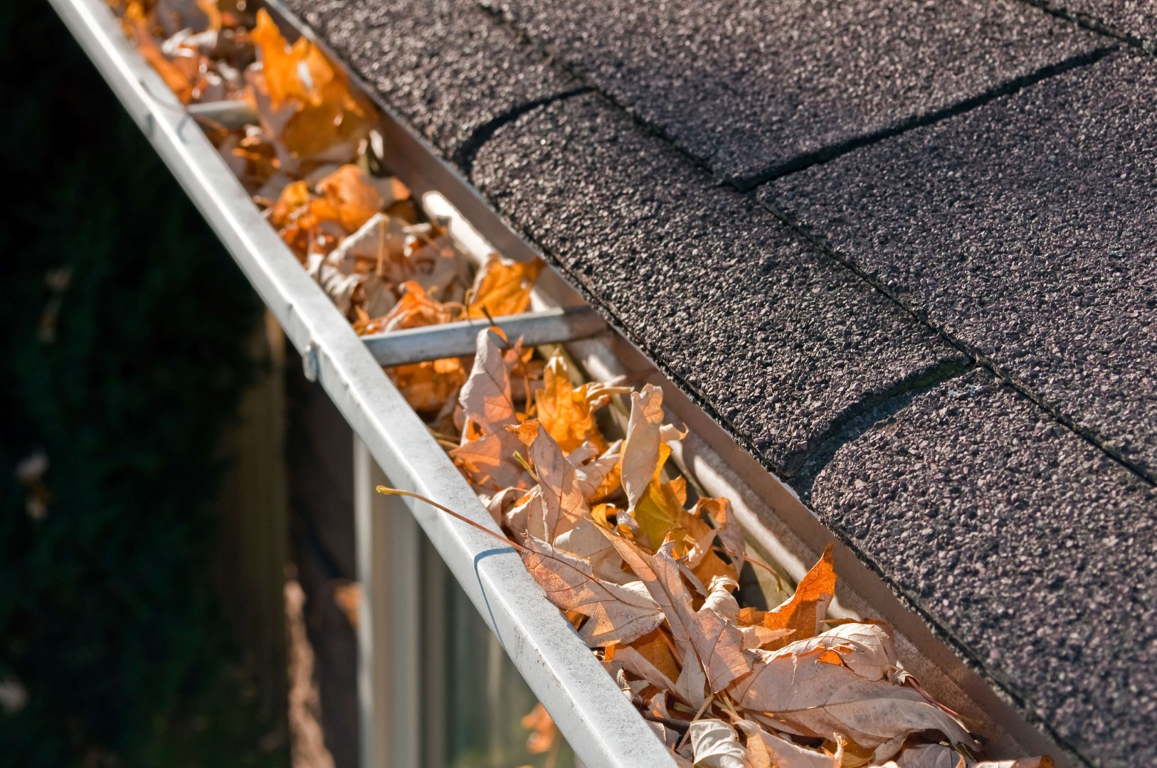 leaves filling up a rain gutter system