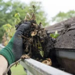 Pine needles and debris in gutters
