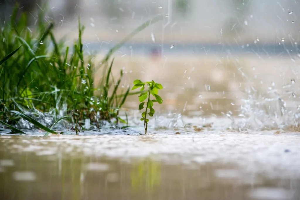 Water puddling