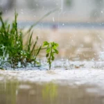 Water puddling
