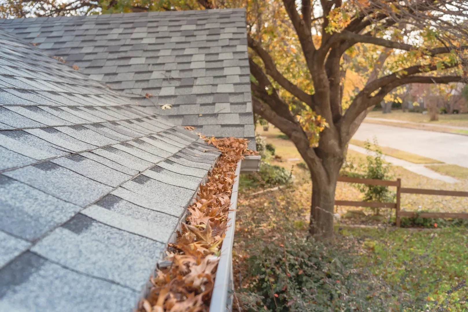 Gutter filled with leaves