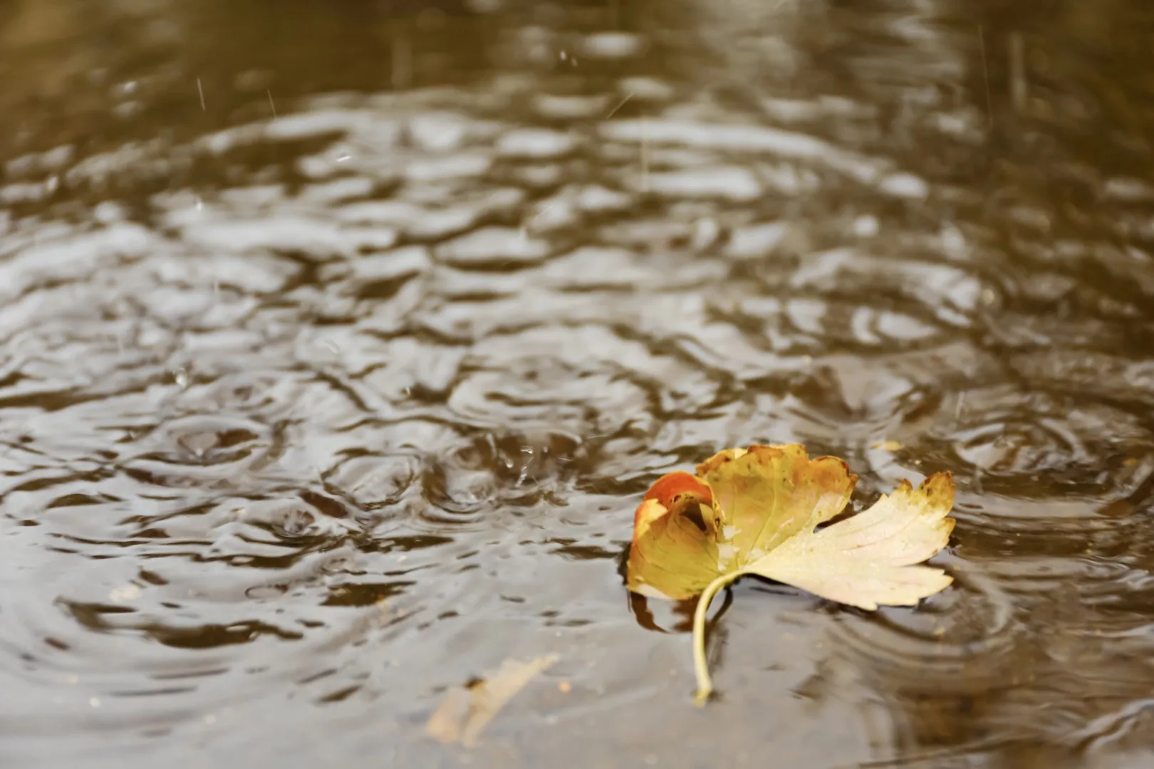 Water pooling