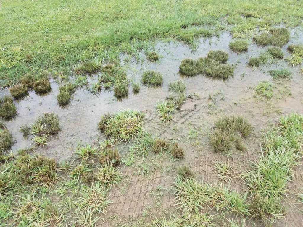 Water pooling