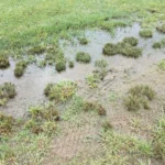 Water pooling