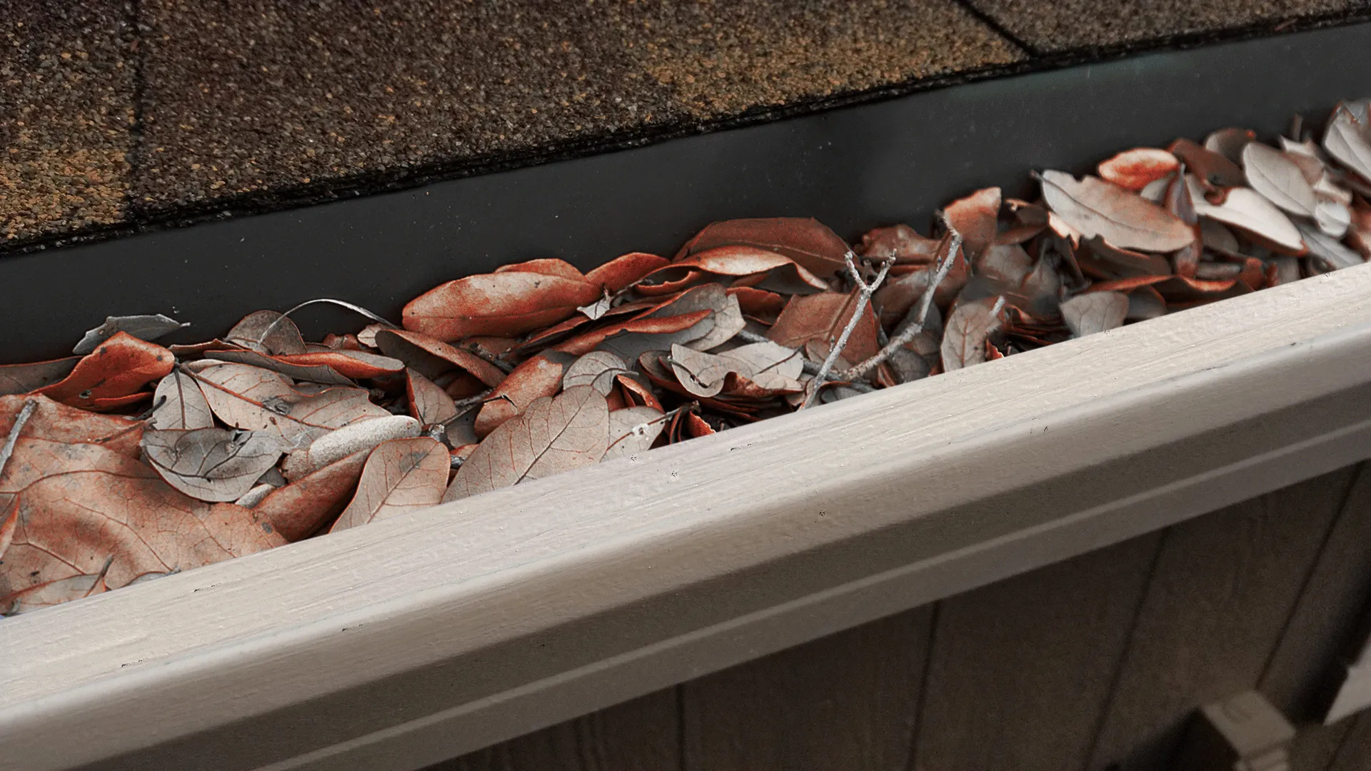 "Leaf Blaster" Gutter Guards