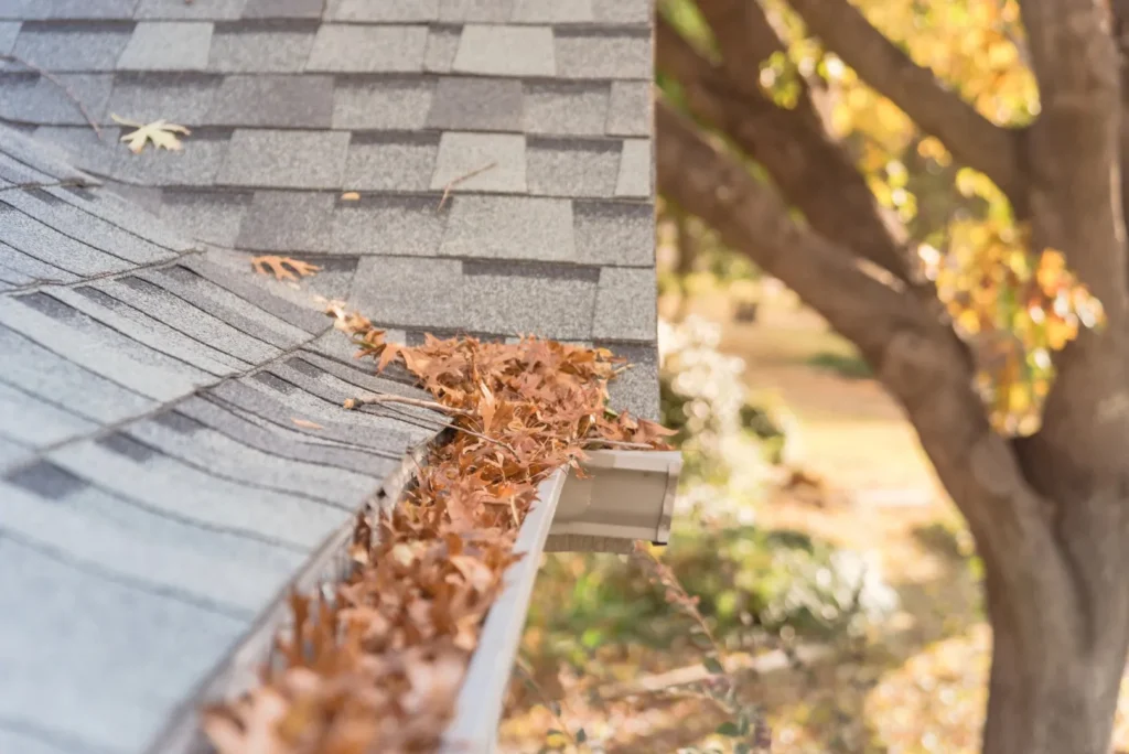 Gutter filled with fall leaves