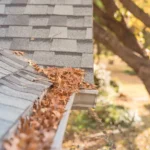 Gutter filled with fall leaves