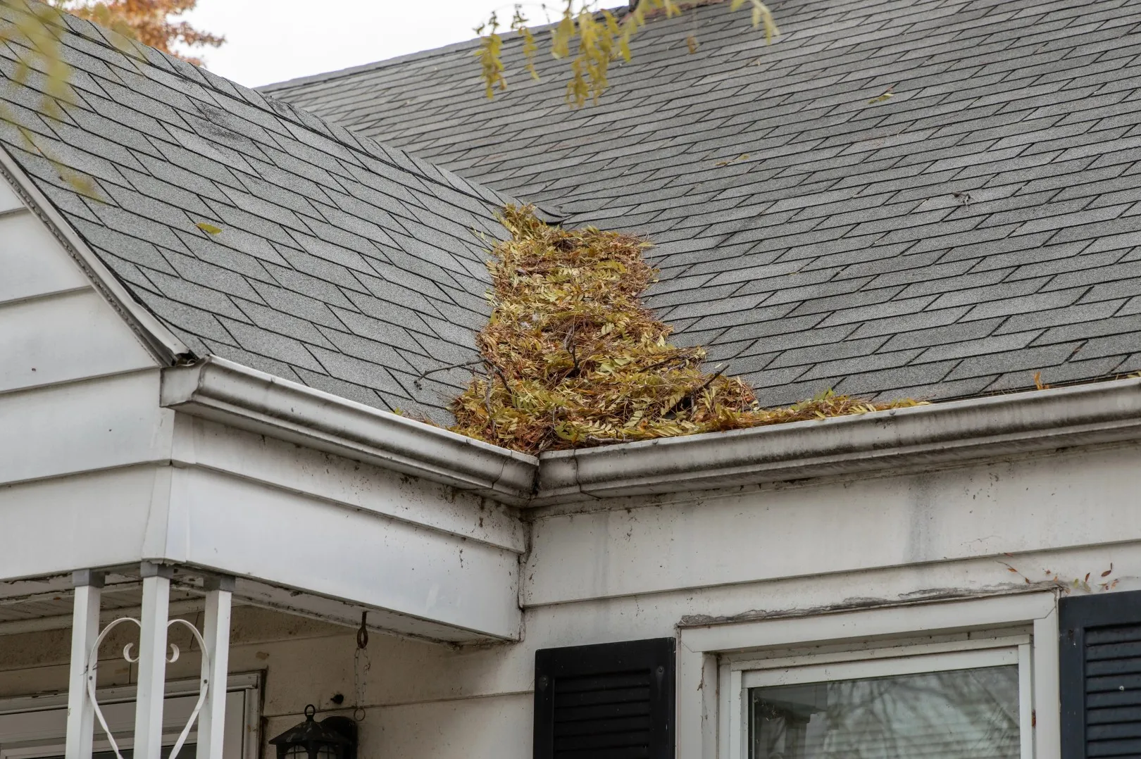 Leaf debris on roof
